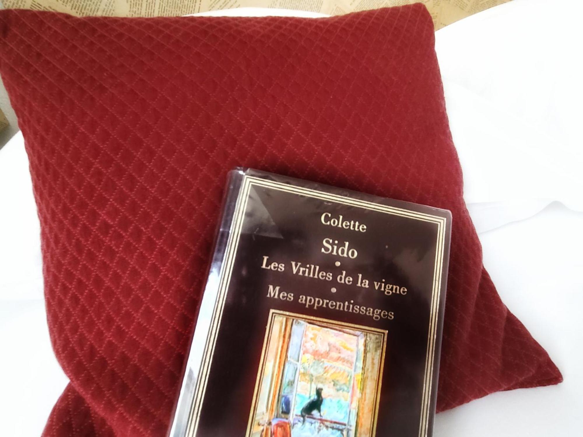 Hotel Mille Et Une Feuilles ลาชาริเต-ซูร์-ลัวร์ ภายนอก รูปภาพ
